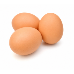 EGGS