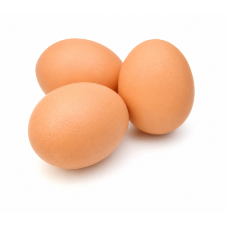 EGGS