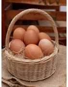 EGGS